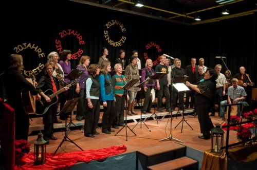  Singkreis des Gesangvereins Fichtenberg e.V. (Bild: Andreas Balko) 