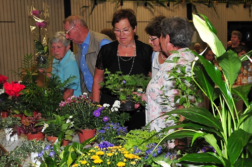 Die Preisträger des Blumenschmuckwettbewerbs dürfen sich eine Pflanz auswählen. Bild Karl-Heinz Rückert