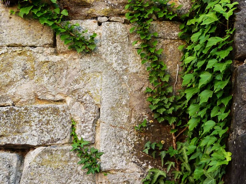 kleines Sühnekreuz an der alten Kirchhofmauer