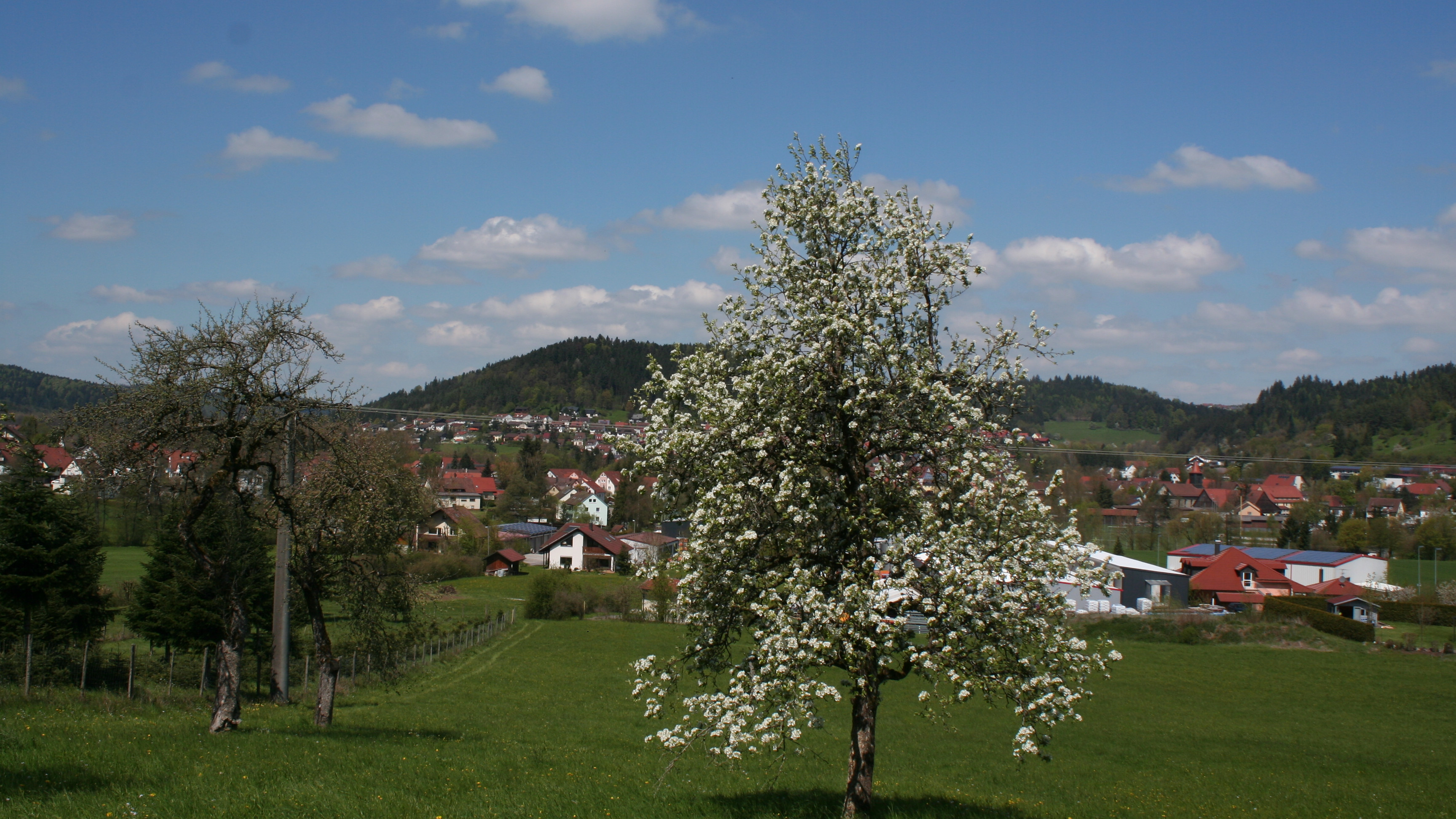 Blick Ort über Aspachfeld (Bild K-H Weller)